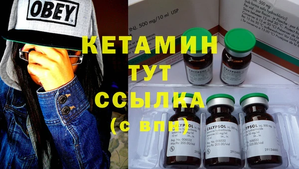гашик Арсеньев
