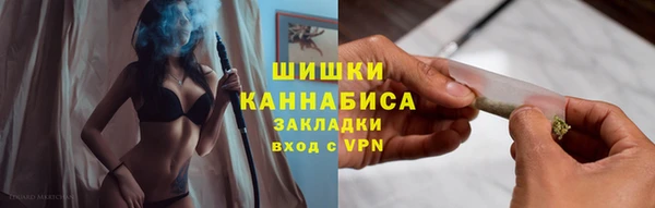 гашик Арсеньев