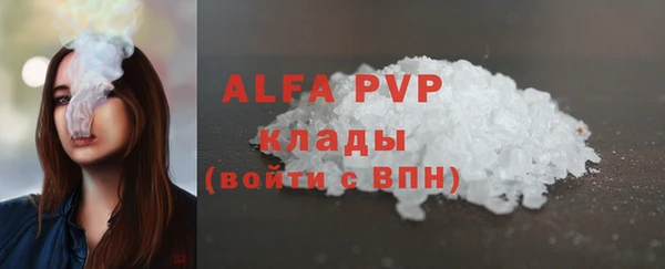 стафф Лабытнанги