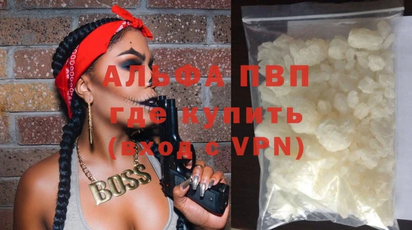 стафф Ладушкин
