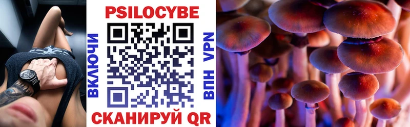 Псилоцибиновые грибы GOLDEN TEACHER  shop какой сайт  Оса 
